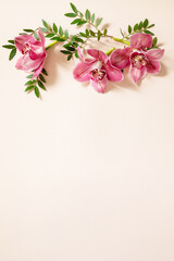 Elegant floral abstract background. Tropical pink phalaenopsis orchids on a light Pastel...