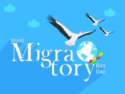 World Migratory Bird Day Creative Design