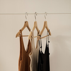 Aesthetic minimalist fashion influencer blog concept. Summer female tops, t-shirts on clothing rack...