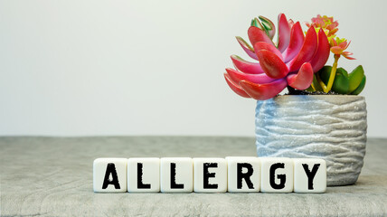 Soft cubes with the abbreviation ALLERGY with a flower