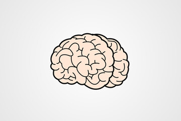 human brain