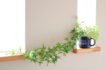 窓辺のアイビーグリーンインテリア
