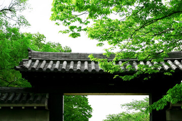 新緑が美しい京都の山門