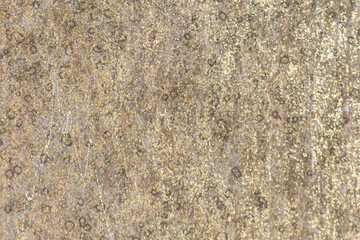 Vintage plaster wall natural