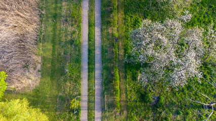 Fototapeta premium Aerial View of New Residential Garden with Flowers, Decorative Trees and Natural Grass Installation with a small concrete path. High quality photo