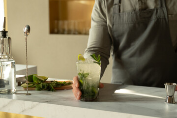 Bartender preparing and mixing cocktails at bar counter. Mojito cocktail served in restaurant bar