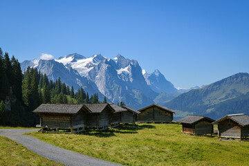 Fototapeta na wymiar Old wooden houses close to Magisalp above Hasliberg in Switzerland