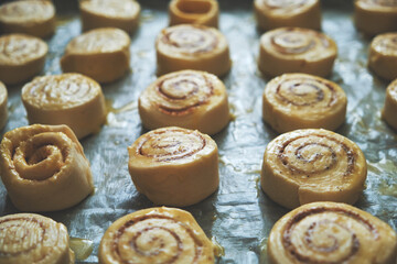 Fototapeta premium Blanks for baking cinnamon rolls on baking sheet with parchment paper.