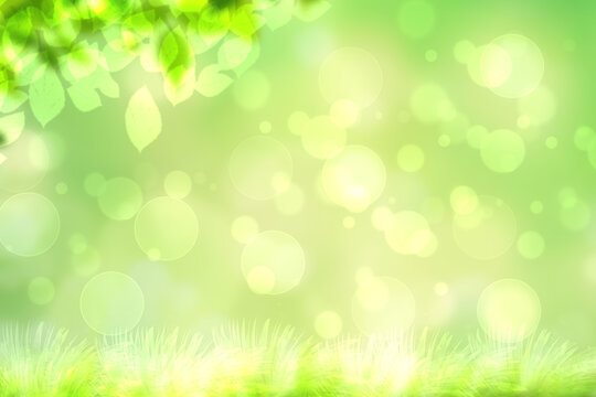 Hello spring background. Abstract bright spring or summer landscape texture with natural green yellow bokeh lights sun, flowers and bright sunny rays. Spring or summer backdrop with copy space.