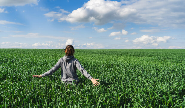Young green wheat field. Woman in a field  touching wheat Ears. Rich harvest Concept. Farmer or agronomist checks the crop.