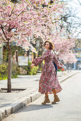 Fototapeta na wymiar In the spring, a woman walks along a blooming street with sakura trees. A girl in a long silk elegant vintage dress walks among the flowering trees