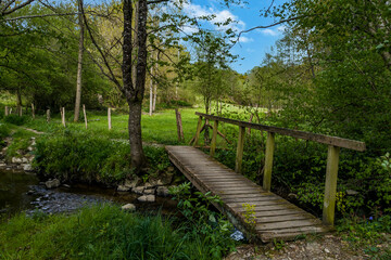 pont sur un chemin de randonné