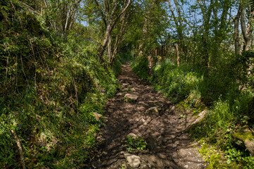 chemin creux