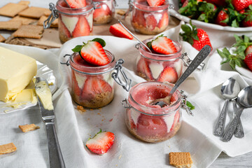 strawberry tiramisu with butter biscuits