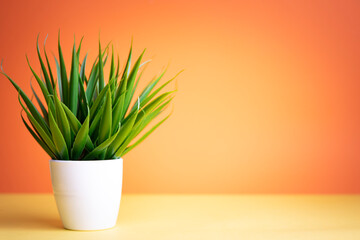 white flowerpot with artificial green plant on orange background. selective focus. copy space