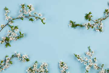 Spring flowers blooming on the table seen from above 