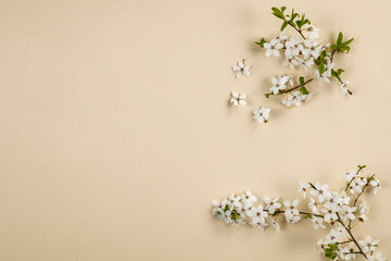 Spring flowers blooming on the table seen from above 
