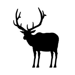 Naklejka na ściany i meble Silhouette of a standing deer