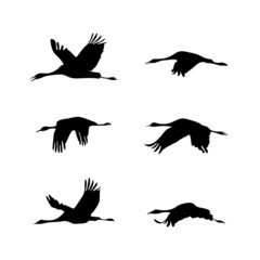 Silhouette of 6 flying birds