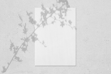 Empty white vertical rectangle poster mockup with soft shadows of blooming tree leaves and flowers on neutral light grey concrete wall background. Flat lay, top view