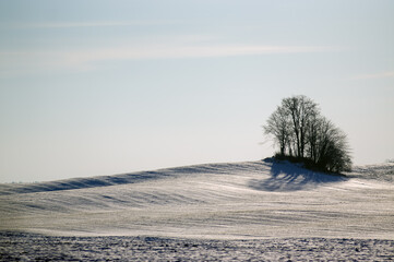 Zimowy krajobraz pagórki pokryte śniegiem na tle zimowego nieba   © Monika