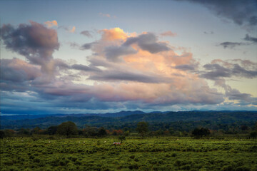 Sunset Clouds over Fields in Costa Rica