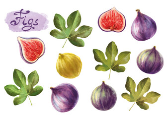 Set of fresh ripe purple and yellow fig fruit and leaf. Design for patterns, shop, postcards, packaging. Digital art.
