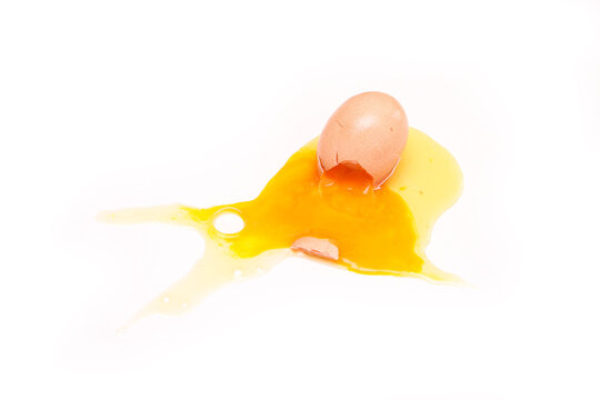 The fallen organic egg lies broken with the eggshell smashed and yolk and white flowing out of it. 