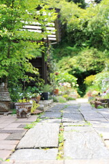 春の花と緑が沢山のガーデニング