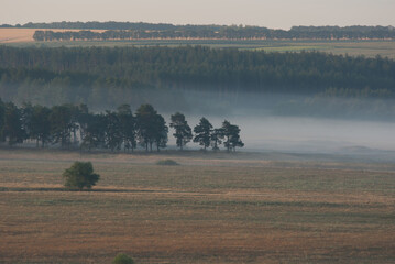 Fototapeta na wymiar Morning fog over the river floodplain