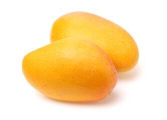 mangos on a white background 