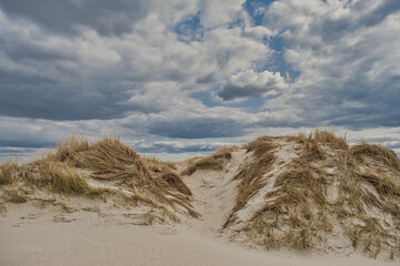 Dunes on Skallingen at the North Sea in rural western Denmark