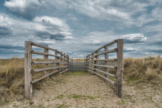 Shepfold on Skallingen in rural western Denmark