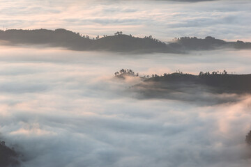 Morning mist at Phu Chi Fa, Northern Thailand.