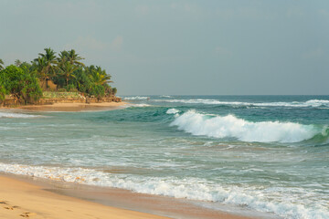 Blue ocean waves on tropical palm beach, Sri Lanka