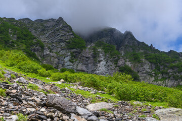 夏の北岳