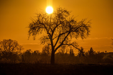 sunset on the field in Mosbach - Germany