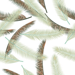 Summer palm tree foliage vector seamless pattern. Boho illustration. Exotic rainforest palm tree foliage textile print seamless ornament.