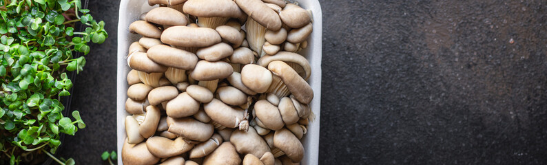 fresh oyster mushroom raw mushrooms meal snack diet vegan or vegetarian food copy space food background rustic. top view 