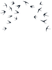 Flying martlet birds silhouettes vector illustration. Migratory martlets group isolated on white.