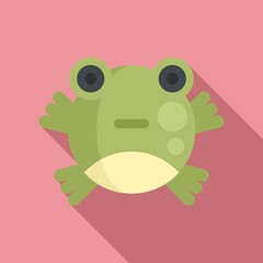 Cute frog toy icon, flat style