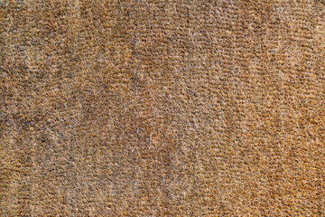 The Texture of an Old and Worn Coir Doormat