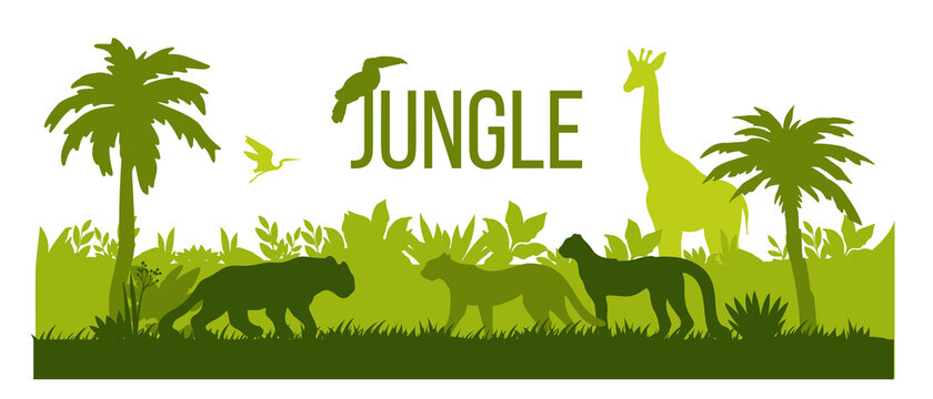 Jungle silhouette landscape, rainforest nature outline background, palm trees, green bushes, giraffe. Africa wildlife scene, panther, leopard, toucan, stork isolated on white. Jungle silhouette design