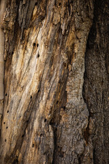 eco green texture background 