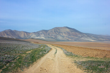 Beautiful silhouettes of mountains in the fog.