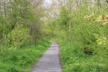 path in the park