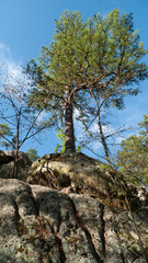 Robber's Cave State Park, Wilburton, Oklahoma, Stream in the mountains