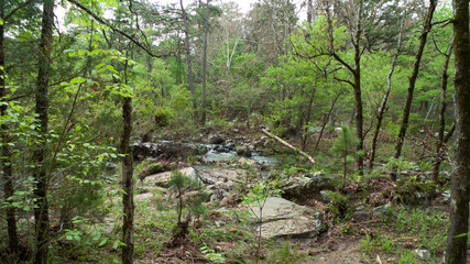 Robber's Cave State Park, Wilburton, Oklahoma, Stream in the mountains