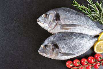 Fresh fish dorado on black slate background with ingredients for cooking