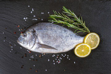 Fresh fish dorado on black slate background with ingredients for cooking